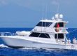 costa rica fad fishing seamount charter