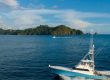 quepos fad fishing seamount trips